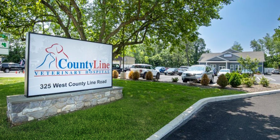 hatboro, pa veterinary